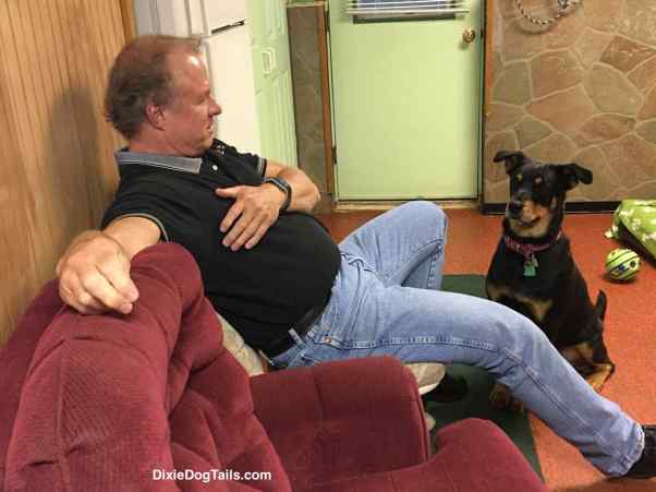 Dog sitting staring at a man in a chair