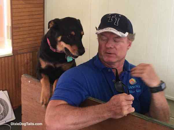 Dog standing next to man