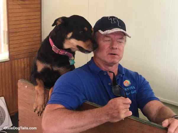 Dog placing her face next to mans face