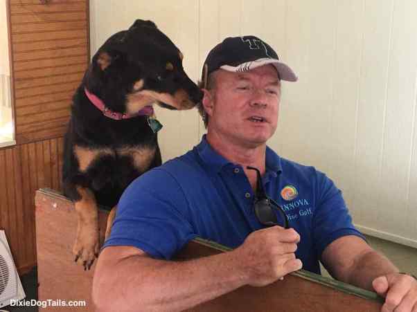 Dog smelling mans ear