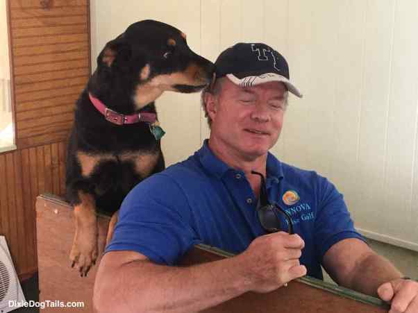 Dog looking at mans ear