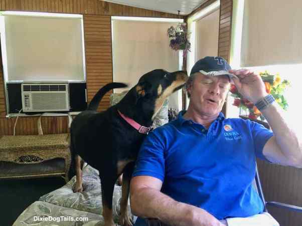 Dog trying to take hat off man