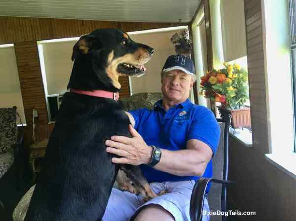 Dog with front two paws on man