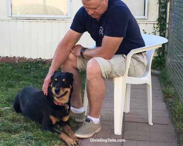 Dog outside with human